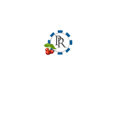 Platinum Reels Online 500x500_white