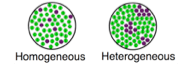 Homogeneous vs Heterogeneous Mixtures