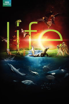 Life (2009)