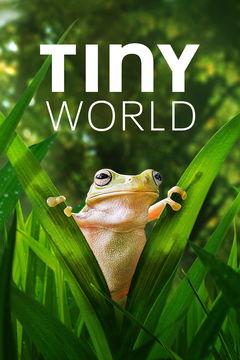 Tiny World (2020&#8209;2021)