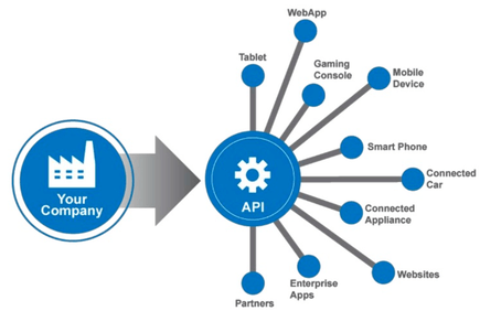 API full form