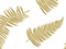 Golden Frond