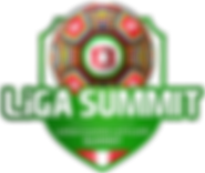 LiGA Summit_Logo-01.png