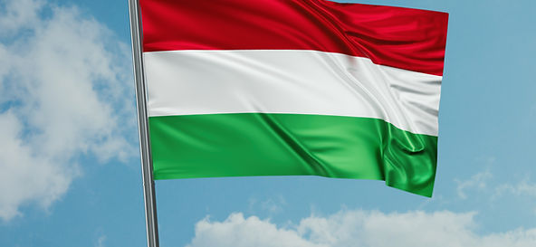 SNOMED International welcomes Hungary to a growing and global community of practice.