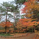 特別名勝兼六園