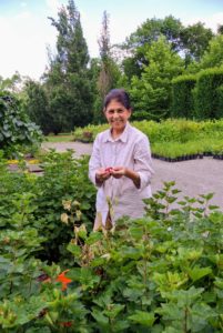 Here is my longtime housekeeper, Laura - she never misses a good berry picking opportunity.