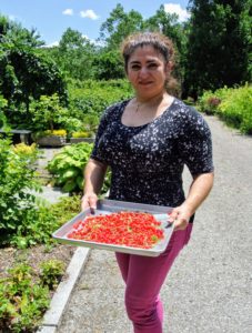 Here is my housekeeper, Enma, with a full tray of juicy red currants. I like to place them in single layers, on trays, so they don't get crushed. After each batch of currants is picked, my housekeepers gently take each fruit off its long-stem.