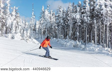 Alpine ski. Skiing woman skier going downhill against snow covered trees on ski trail slope piste in winter. Good recreational female skier in red ski jacket.