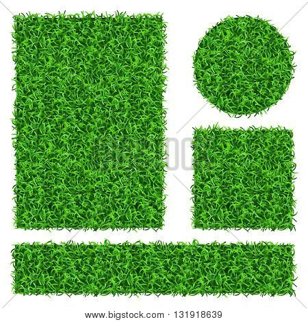 Green grass vector banners set. Flora decoration grass plant and nature floral grass illustration