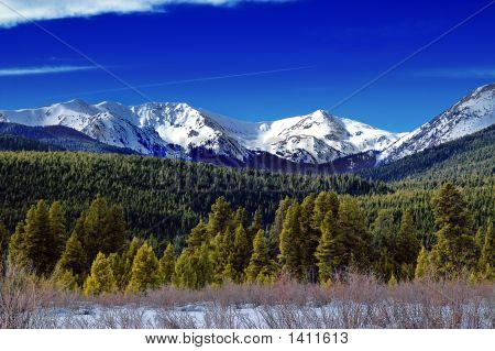 Winter Mountains And Forest In Colorado