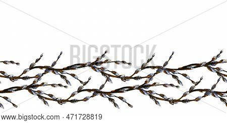 Watercolor Easter Seamless Borders With Willow Branches. Spring Hand Drawn Illustration On White Bac