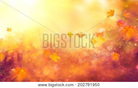 Autumn background. Fall Abstract autumnal background with colorful leaves and sun flares, flying on wind colorful bright leaves, yellow, orange and red colors backdrop. Abstract art design