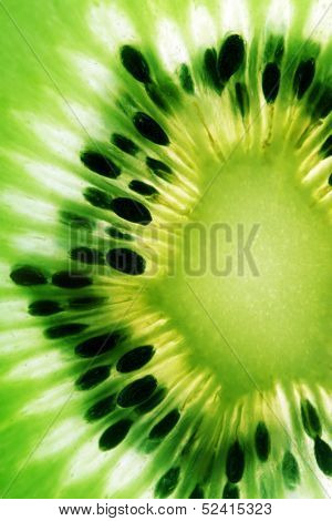 Abstract photo of a kiwi