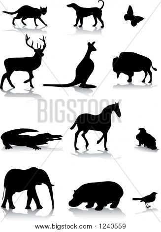 Animal Silhouettes