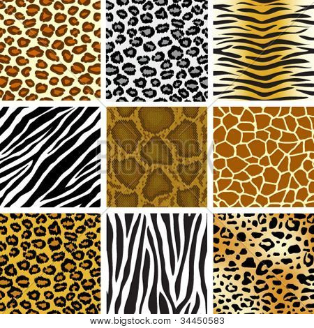 animal skin seamless pattern set