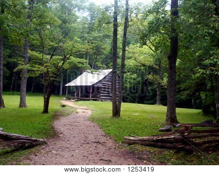 Peaceful Path To A Cabin In The Woods Surrounded By Summer Foliage