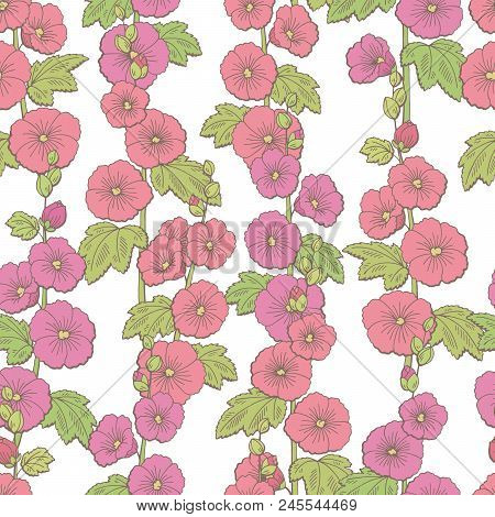 Mallow Flower Graphic Color Sketch Seamless Pattern Background Illustration Vector