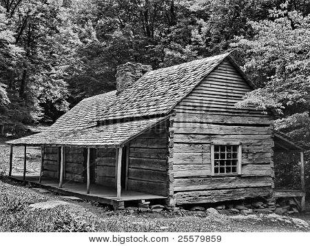 Black & White log cabin in Smoky Mountains