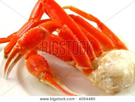 Snow Crab