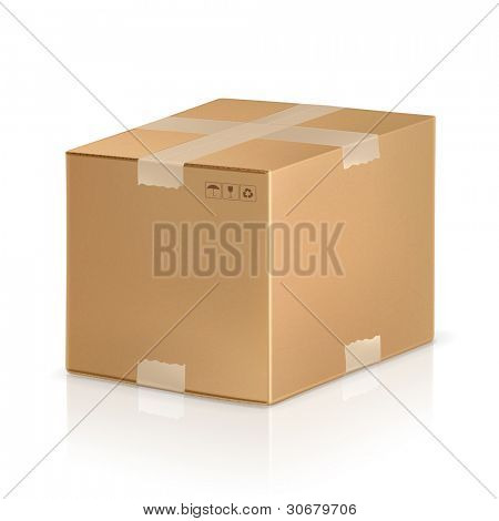 Carton box, vector