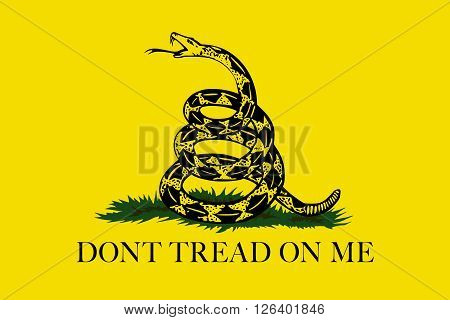 The Gadsden Don't Tread On Me flag Authentic version color and scale