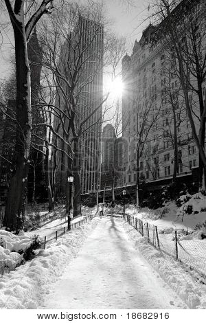 Winter Snow in Central Park, New York City