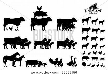 Vector Farm Animals Collection Isolated on White