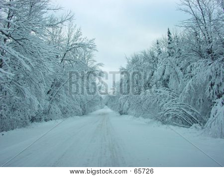 Snowy Road