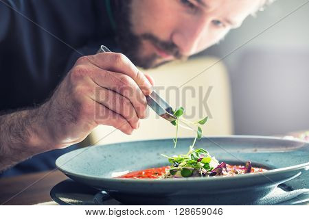 Chef in hotel or restaurant kitchen cooking only hands. He is working on the micro herb decoration. Preparing tomato soup.
** Note: Shallow depth of field