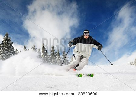 The Skier