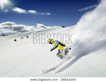 The Skier