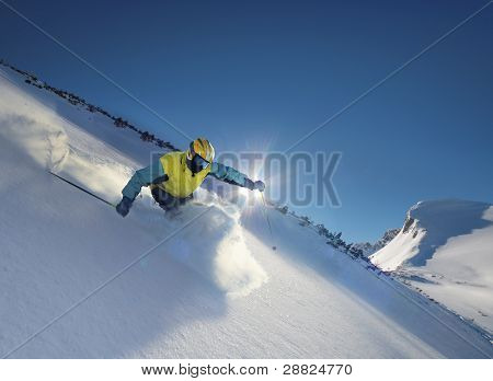 Skier