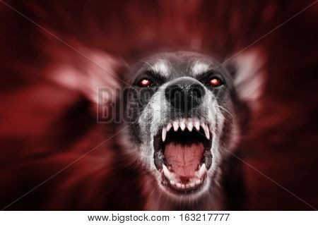 Red glowing eyed dog-like aggressive demonic attacking beast incarnation of evil fear and hereafter.