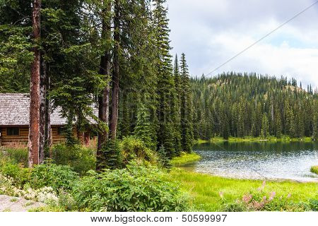 Log Cabin In Pine Forest By Lake