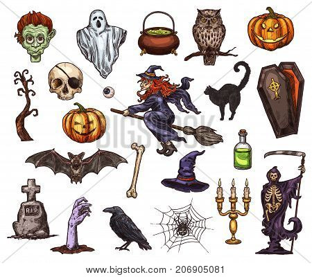 Halloween holiday sketch icon set. Scary ghost, Halloween pumpkin lantern, bat, spider and witch, skeleton skull, zombie and cemetery gravestone, black cat, coffin and grim reaper isolated symbol