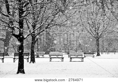 Beautiful, Peaceful Scene Of A Park During A Winter Snow