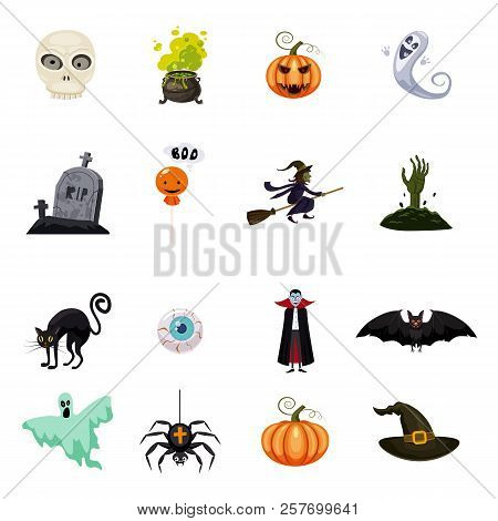 Set Of Halloween Feast, Collection Of Attributes Halloween Skull, Vampire, Witch Cauldron, Witch On 