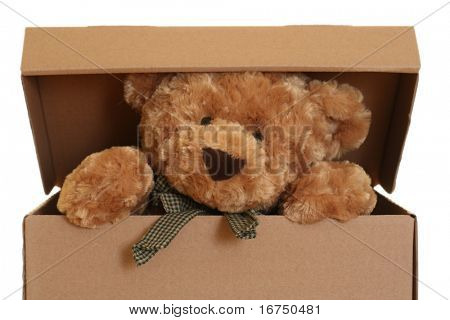 close-ups of cute teddy bear in box