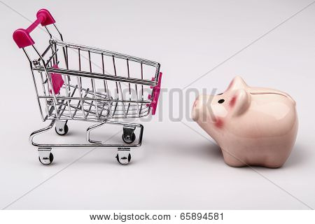 Shopping Cart Versus Pig Money Box