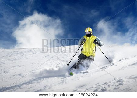 The skier