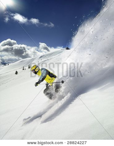 The Skier