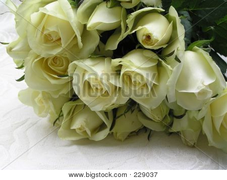 Wedding Roses