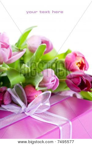 Pink Tulips And Gift Box