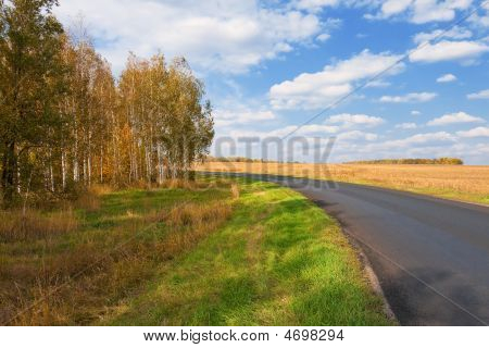 Suburban Road