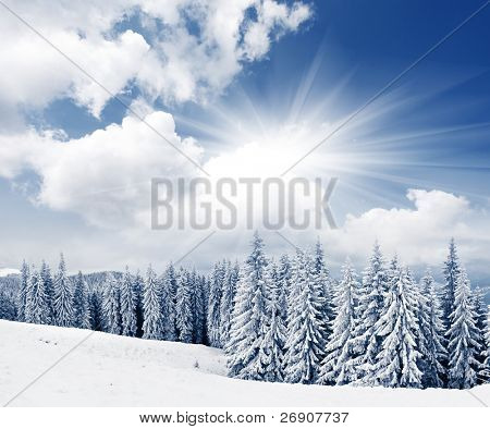 Beautiful winter landscape with snow covered trees