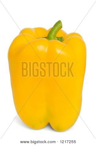 Yellow Pepper