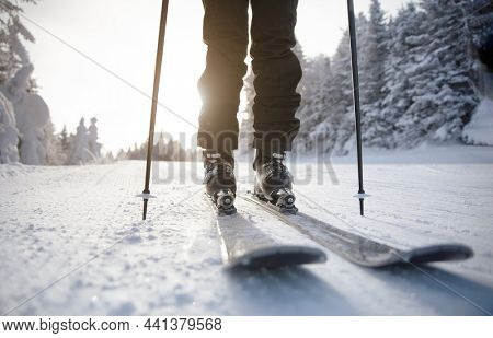 Skiing. Ski on First Tracks. Alpine skier going downhill skiing in morning on Fresh Tracks on groomed ski trail slope piste. Closeup of trail, skis and ski boots amongst snow covered trees.