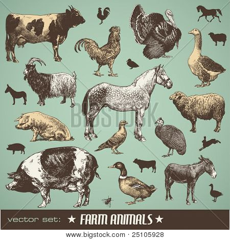 vector set: farm animals - various retro-style illustrations