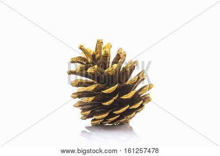 Beautiful golden pine cone on white background for Christmas decorative.