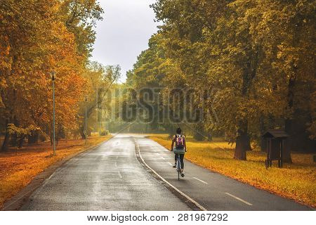 Cycling In The Park. Lifestyle Concept. Hipster Woman Cycling In The Park In Autumn. Healthy Lifesty